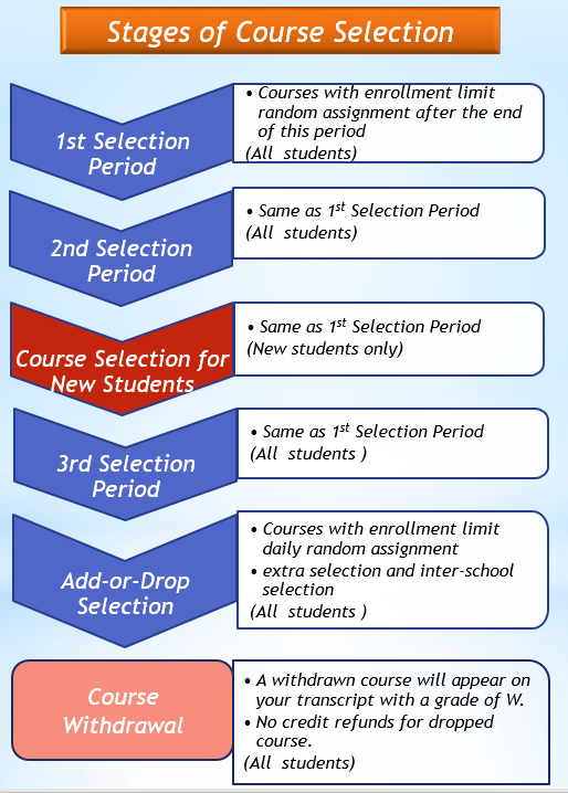 course selection stages