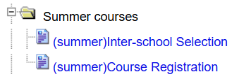Course Selection Interface